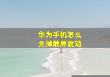 华为手机怎么关掉触屏震动