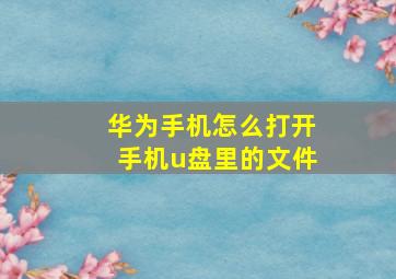 华为手机怎么打开手机u盘里的文件