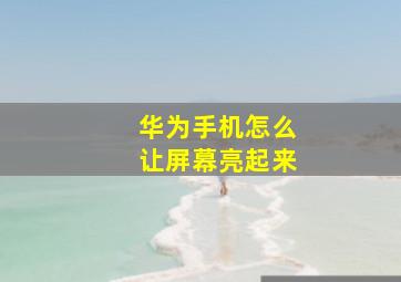 华为手机怎么让屏幕亮起来