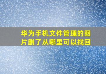 华为手机文件管理的图片删了从哪里可以找回