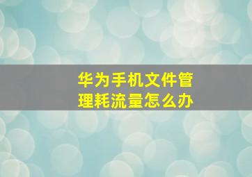 华为手机文件管理耗流量怎么办