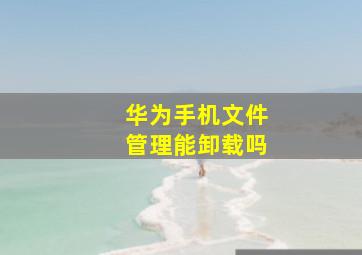 华为手机文件管理能卸载吗