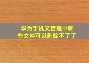 华为手机文管理中哪些文件可以删除不了了