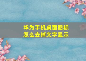 华为手机桌面图标怎么去掉文字显示