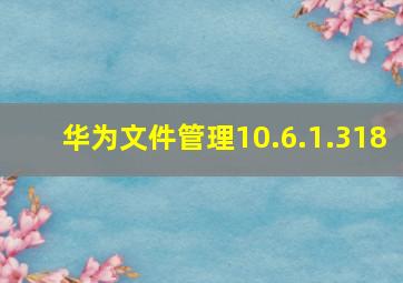 华为文件管理10.6.1.318