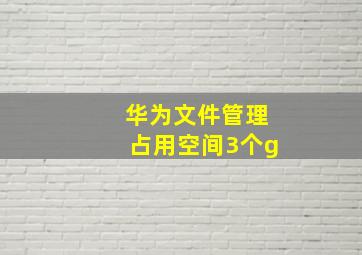 华为文件管理占用空间3个g