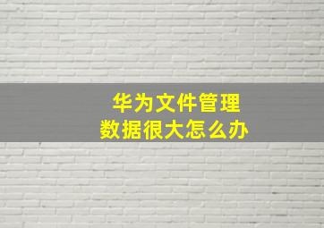 华为文件管理数据很大怎么办