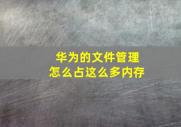 华为的文件管理怎么占这么多内存