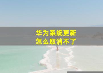 华为系统更新怎么取消不了