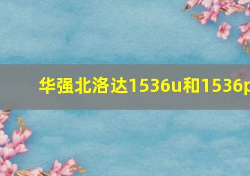 华强北洛达1536u和1536p