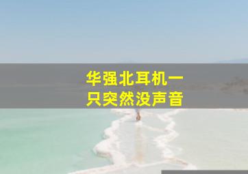 华强北耳机一只突然没声音