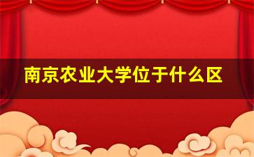 南京农业大学位于什么区