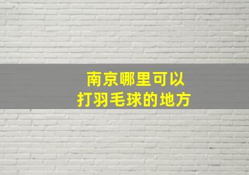 南京哪里可以打羽毛球的地方