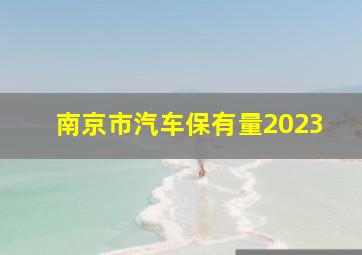 南京市汽车保有量2023