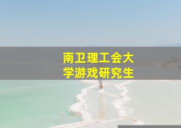 南卫理工会大学游戏研究生