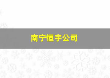 南宁恒宇公司