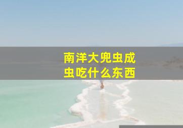 南洋大兜虫成虫吃什么东西