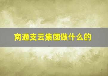 南通支云集团做什么的