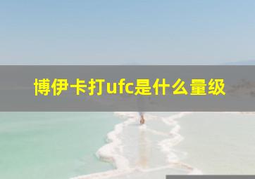 博伊卡打ufc是什么量级