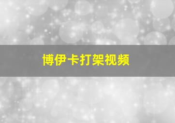 博伊卡打架视频