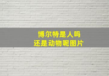 博尔特是人吗还是动物呢图片