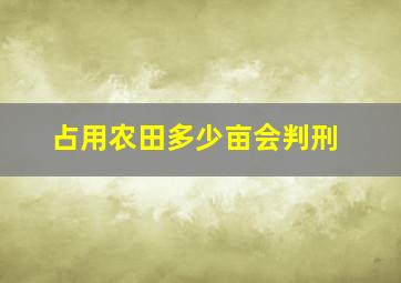 占用农田多少亩会判刑