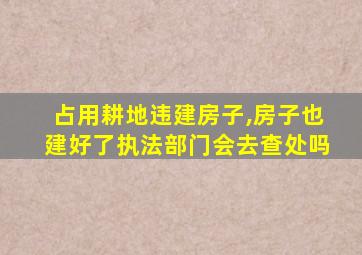 占用耕地违建房子,房子也建好了执法部门会去查处吗