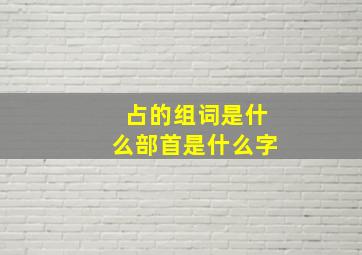 占的组词是什么部首是什么字