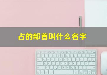 占的部首叫什么名字