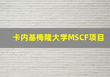 卡内基梅隆大学MSCF项目