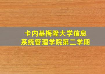 卡内基梅隆大学信息系统管理学院第二学期