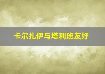 卡尔扎伊与塔利班友好