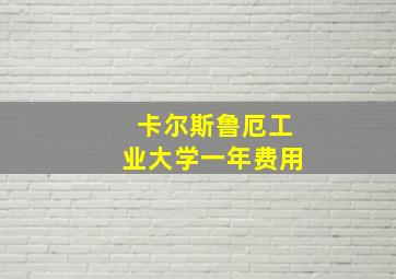 卡尔斯鲁厄工业大学一年费用