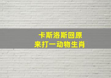 卡斯洛斯回原来打一动物生肖