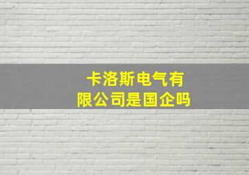 卡洛斯电气有限公司是国企吗