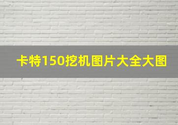 卡特150挖机图片大全大图