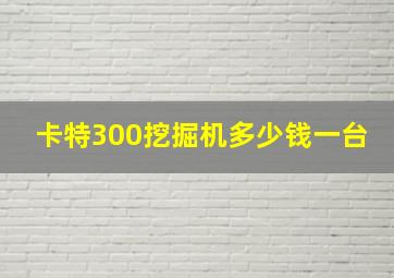 卡特300挖掘机多少钱一台