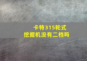 卡特315轮式挖掘机没有二档吗