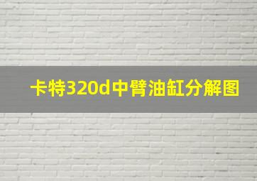 卡特320d中臂油缸分解图