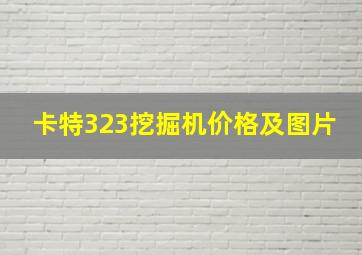 卡特323挖掘机价格及图片