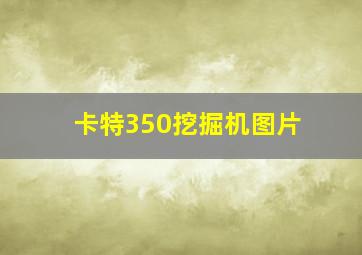 卡特350挖掘机图片