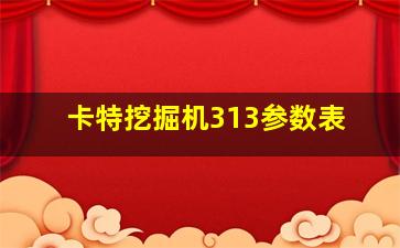 卡特挖掘机313参数表