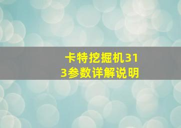 卡特挖掘机313参数详解说明