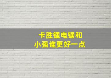 卡胜锂电锯和小强谁更好一点