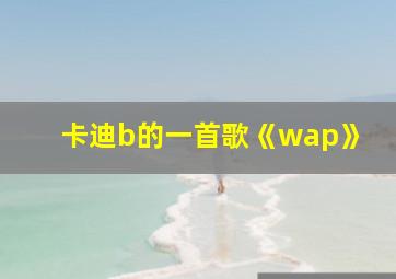 卡迪b的一首歌《wap》