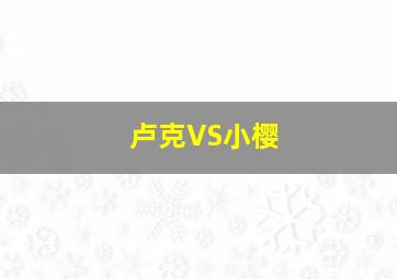 卢克VS小樱