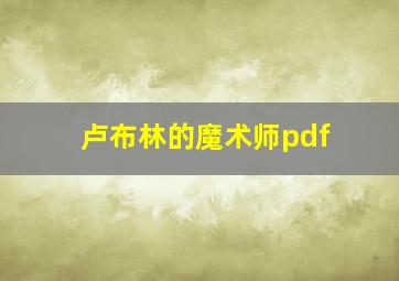 卢布林的魔术师pdf