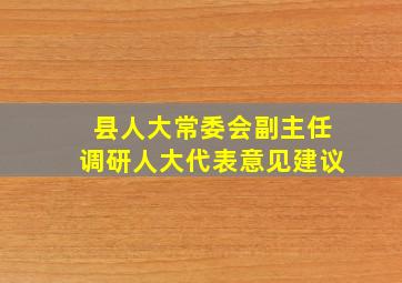 县人大常委会副主任调研人大代表意见建议