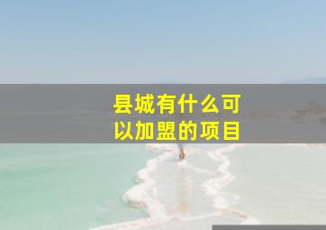 县城有什么可以加盟的项目