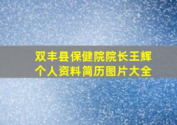 双丰县保健院院长王辉个人资料简历图片大全